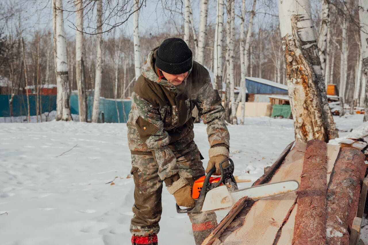 Emergency Storm Tree Removal